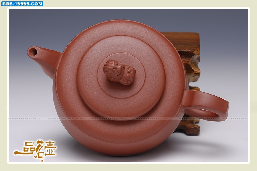 王敏-狮灯壶5.jpg
