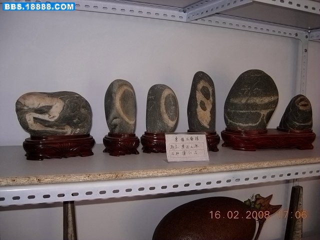 DSCN1388.jpg