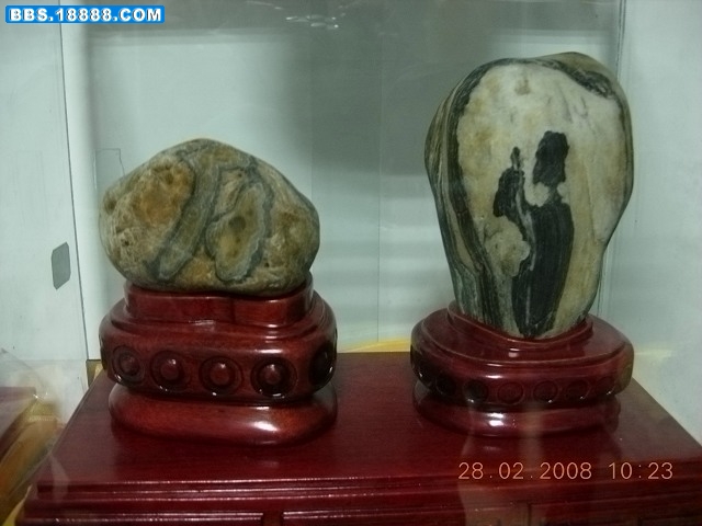 DSCN1704.jpg