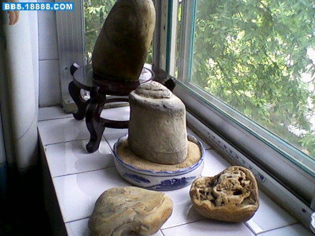 照片-0061.jpg