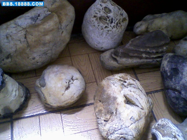 照片-0075.jpg