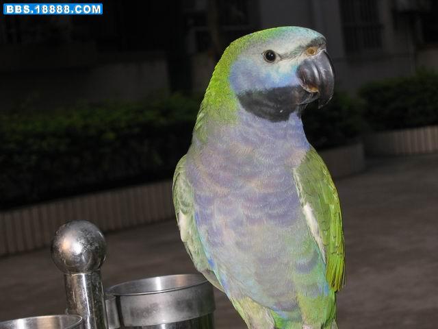 调整大小 IMG_6720.jpg