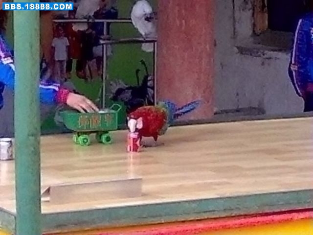 10.jpg