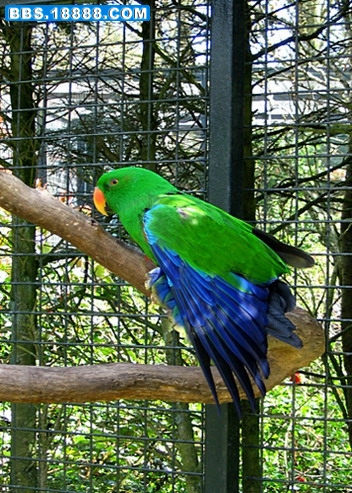132366881_0ed714b114.jpg