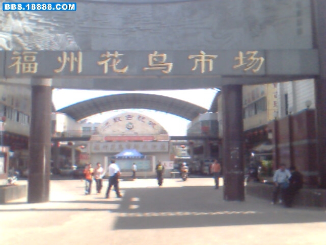 IMG0854A.jpg