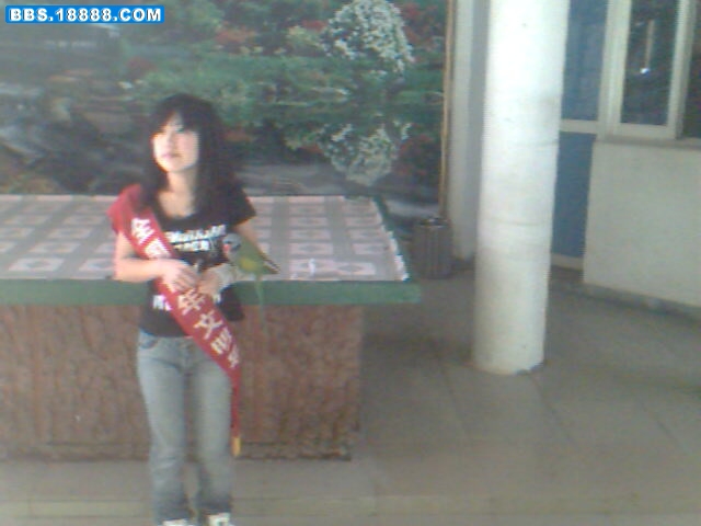 IMG1083A.jpg