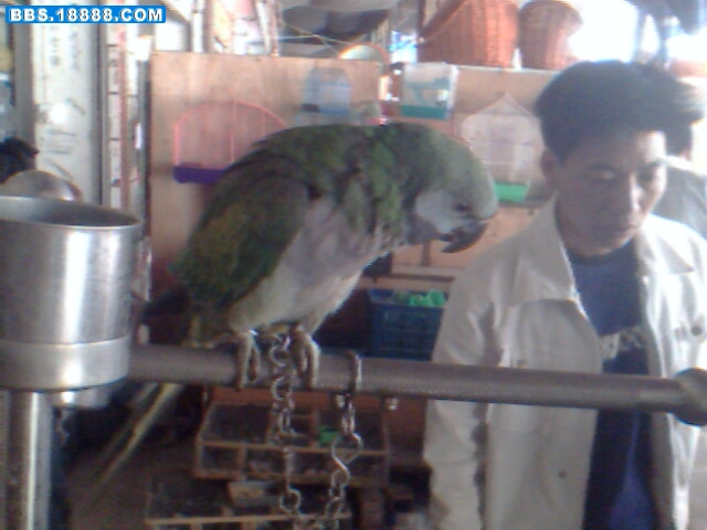 IMG0776A.jpg