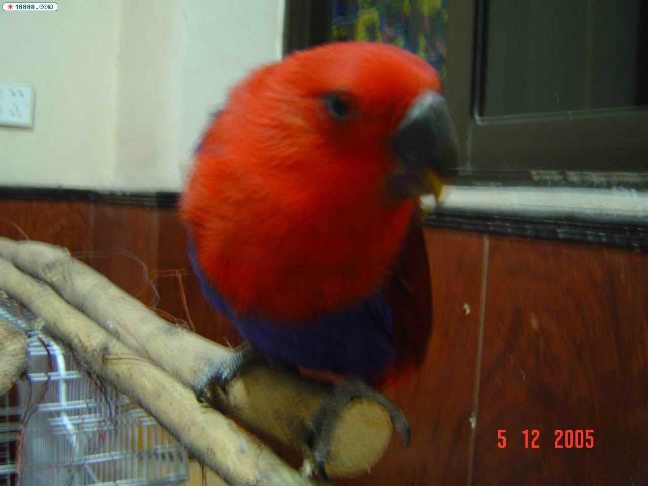 DSC00061.jpg