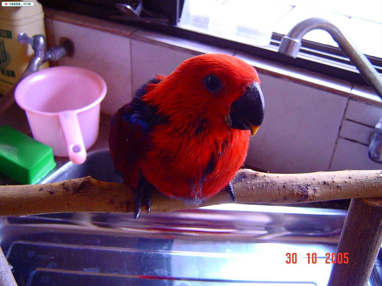 DSC00018.jpg