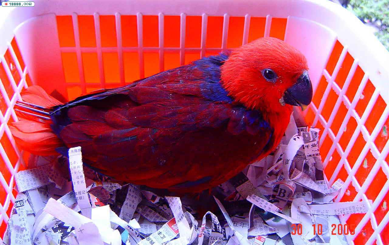 DSC00005.jpg
