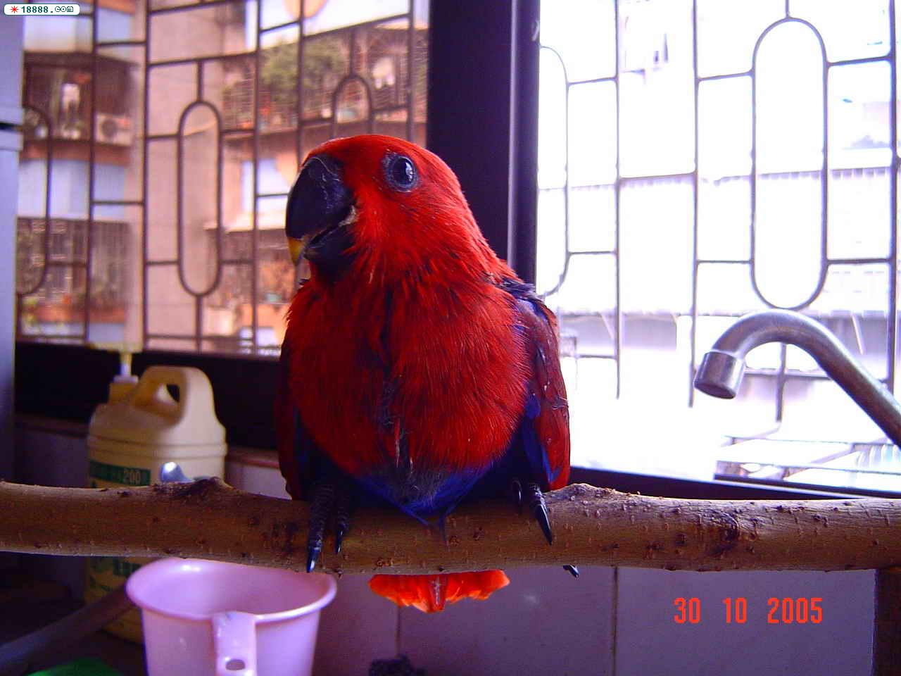 DSC00015.jpg