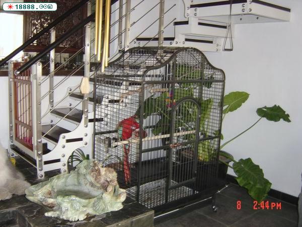 DSC03370.JPG
