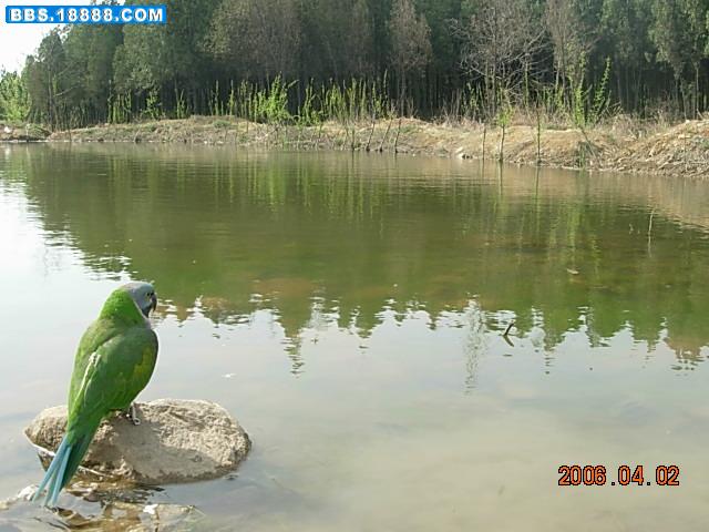 DSCN4040.JPG