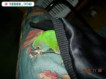 DSCN3331.JPG