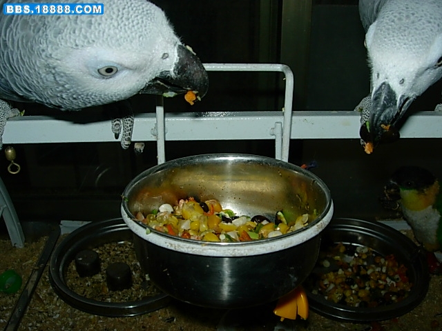 DSCN7409.JPG