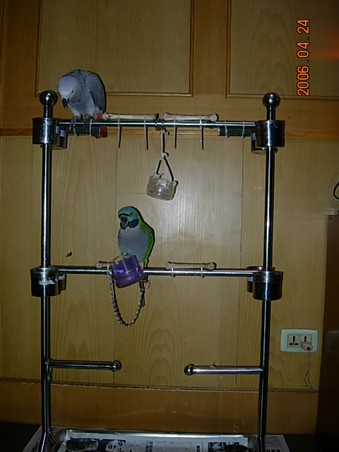 DSCN4145.JPG