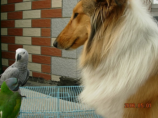 DSCN4172.JPG