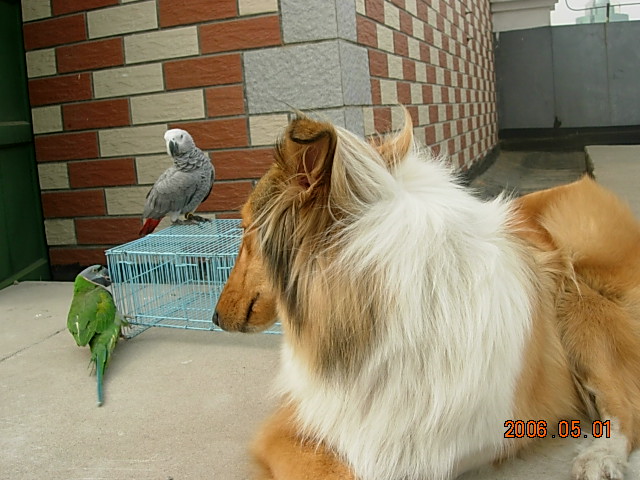DSCN4159.JPG