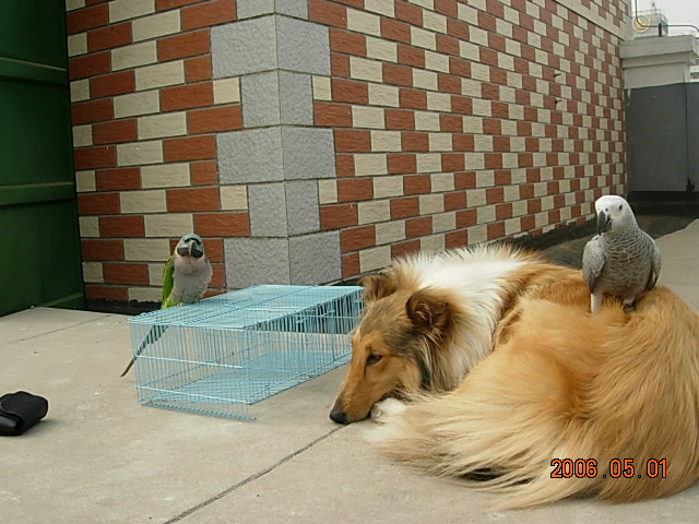 DSCN4197.JPG