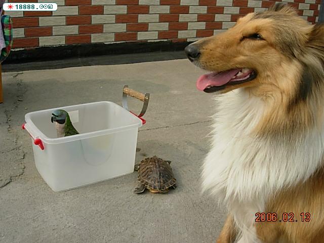 DSCN3718.JPG