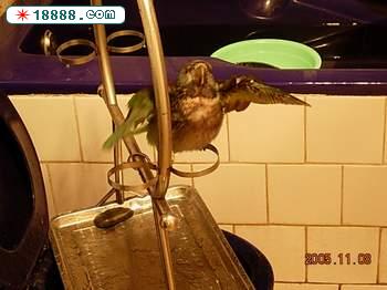 DSCN3320.JPG