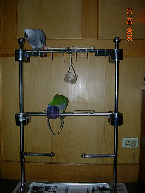 DSCN4144.JPG