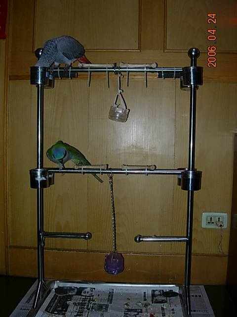 DSCN4150.JPG
