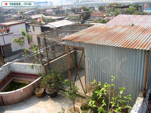 全景.jpg