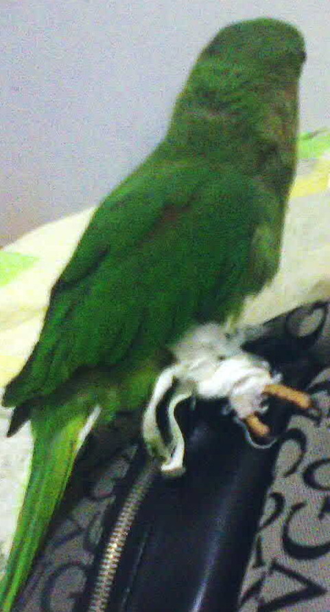 200604262.jpg