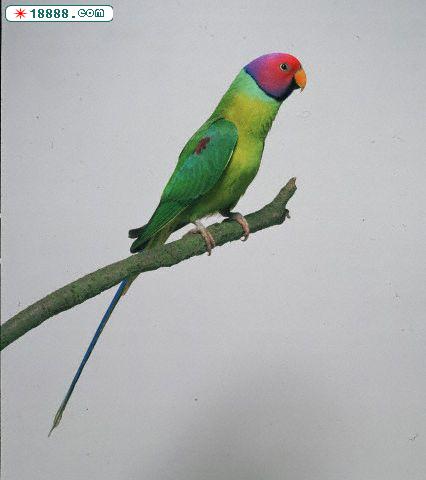 DK004963.jpg