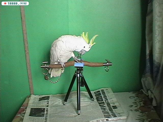 IMGA0393.JPG