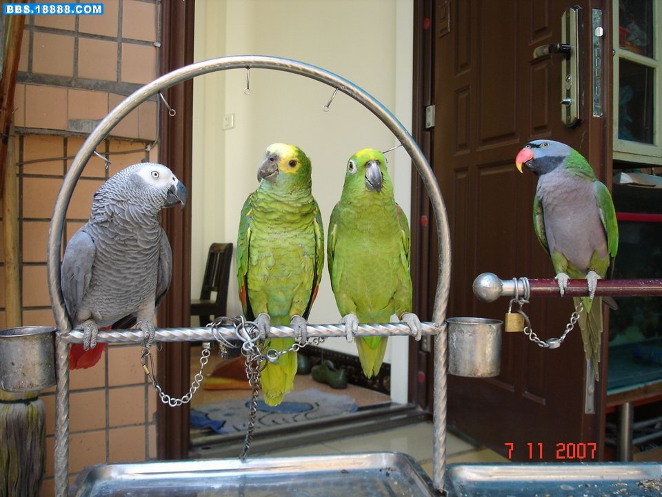DSC01080.JPG