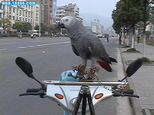 照片 42.jpg