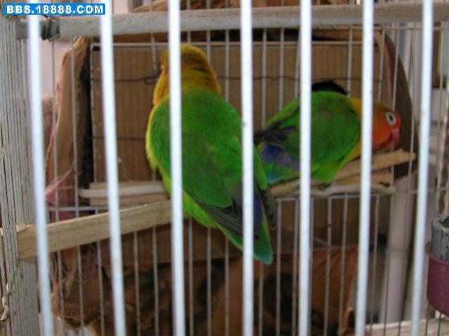 DSCN0430.JPG
