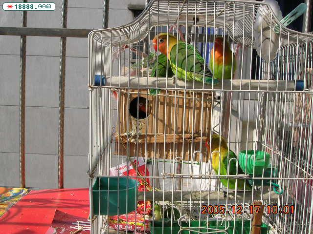 DSCN0283.JPG
