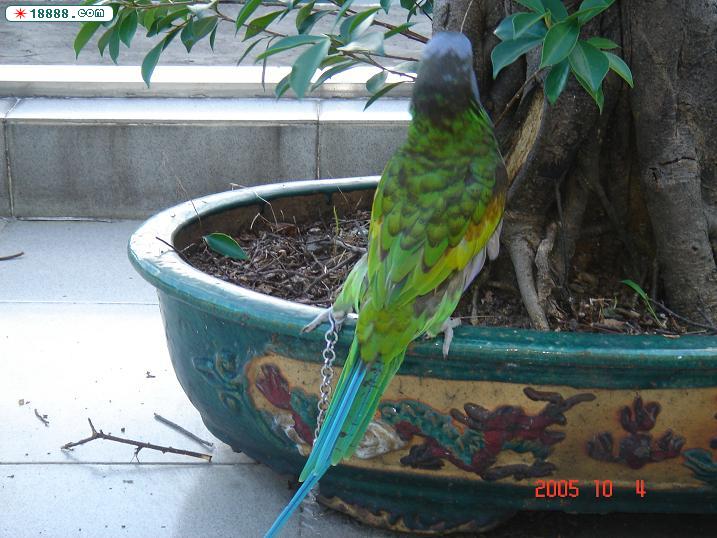 DSC00632.JPG