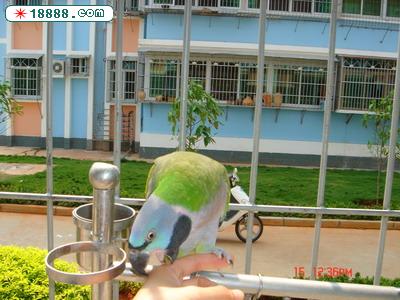DSC02658_调整大小.JPG
