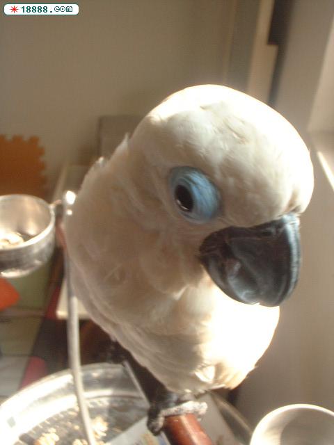 DSCF0011.JPG