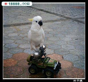 DSC0003-.jpg