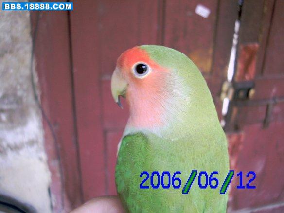 PICT0030.JPG