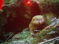 照片20051208 004qqq.jpg
