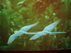 照片20051208 067ppp.jpg