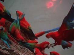 照片20051208 038ppp.jpg