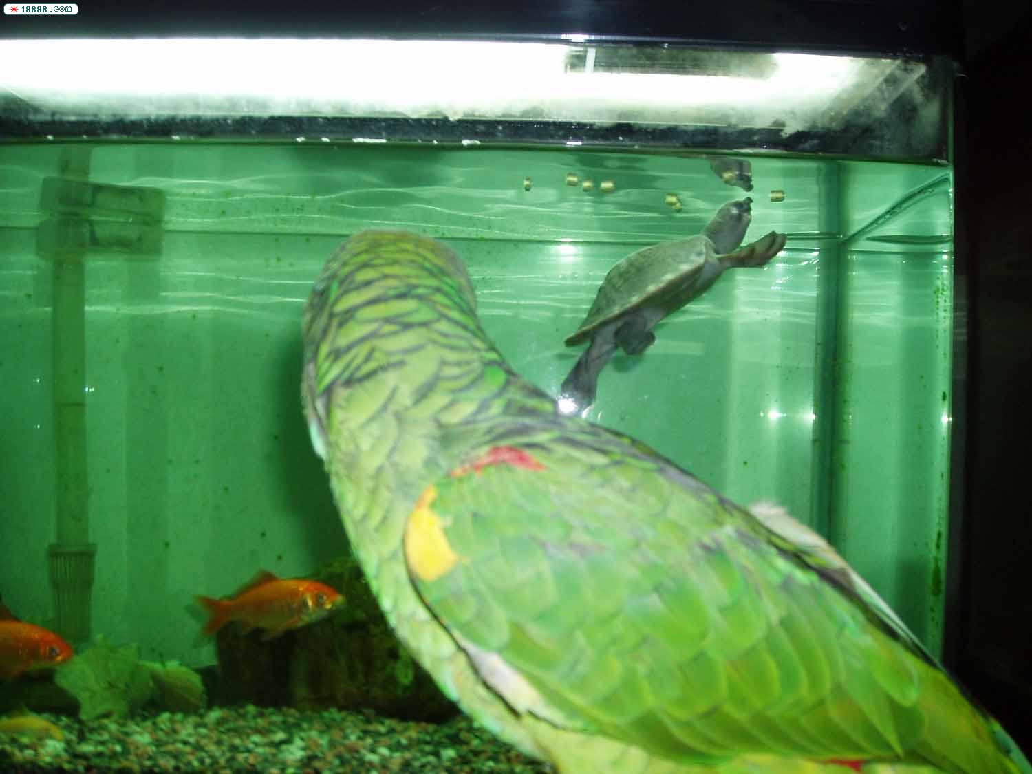 照片20051208 063ppp.jpg