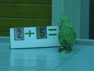 照片 079.JPG