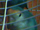 18-12-05_1934.jpg