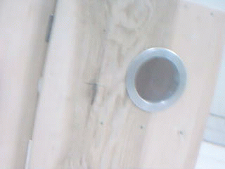 8.gif