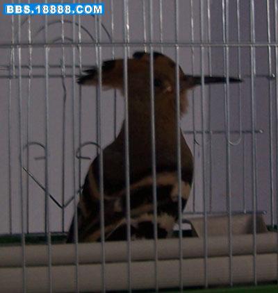 100_1029.jpg