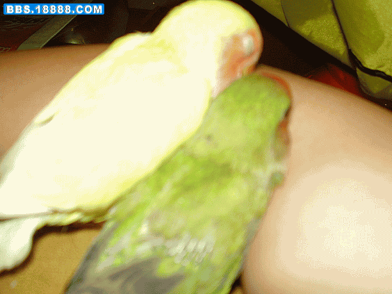 thumb002.gif