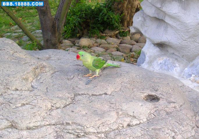 P1010010.JPG
